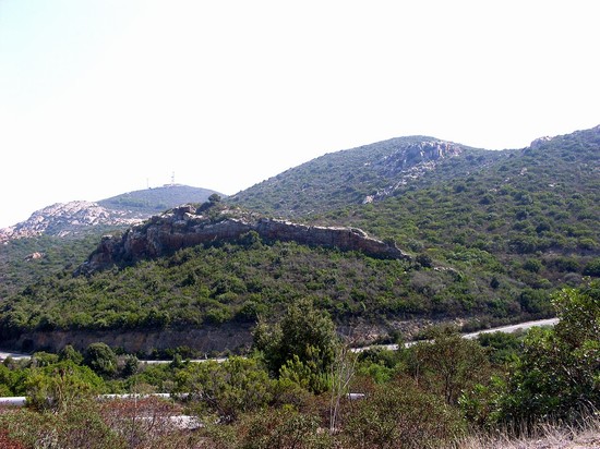 sulcis