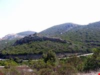 sulcis