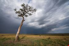 Narok