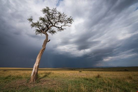  Narok Mark Dumbleton - Shutterstock Mark Dumbleton