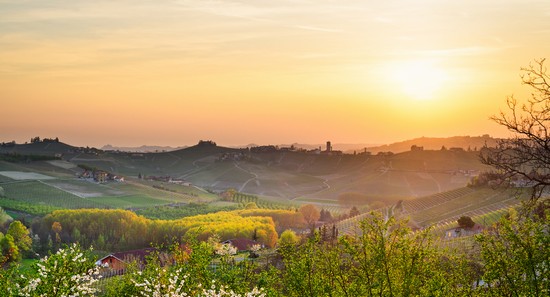 Langhe
