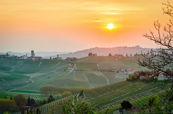 Langhe