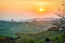 Langhe