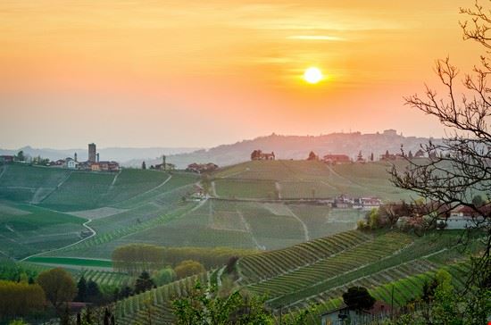 Langhe Piozzo Marco Saracco - Shutterstock Marco Saracco