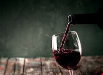 Vino