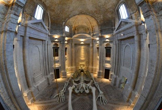 Musei - ValerioMei / Shutterstock.com - ValerioMei / Shutterstock.com
