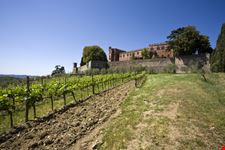 Castello di Brolio