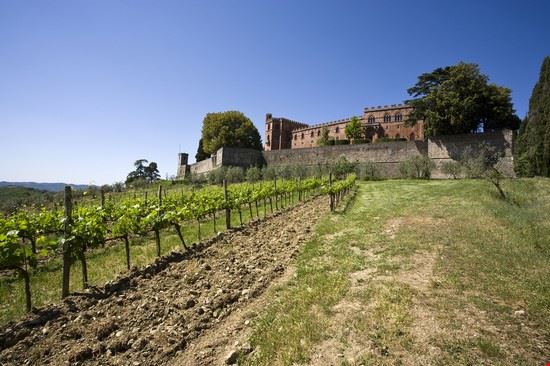  Castelnuovo Berardenga Oliver Hoffmann - Shutterstock Oliver Hoffmann