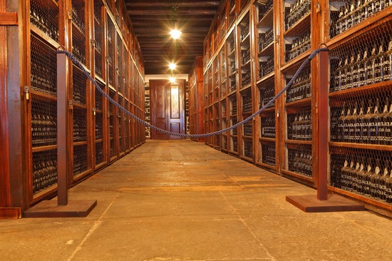 Vino