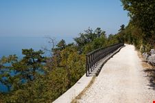 trieste strada vicentina