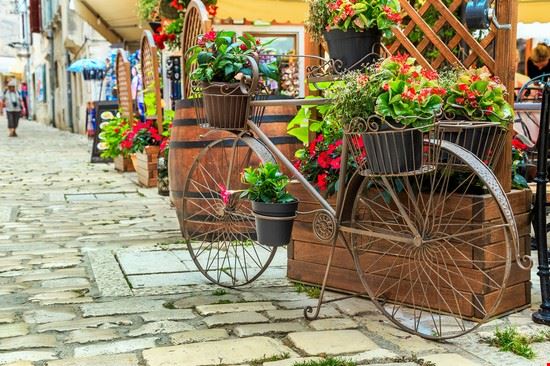  Rovinj Gaspar Janos - Shutterstock Gaspar Janos