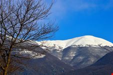 1083px-Guarcino,_Province_of_Frosinone,_Italy_-_panoramio
