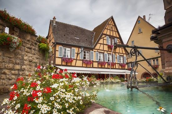  Colmar ariadna de raadt - Shutterstock ariadna de raadt