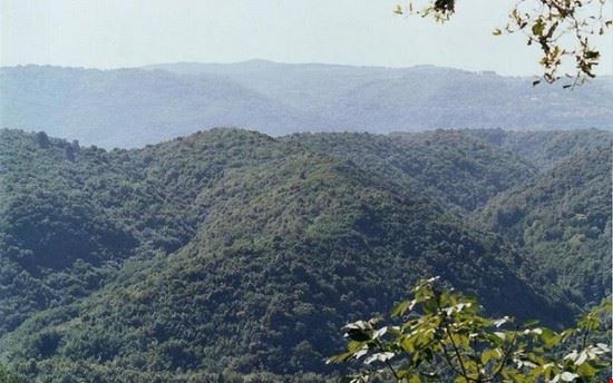 Parco Naturale Regionale delle Serre - Brunofrancesco - Brunofrancesco - CC BY SA 3.0