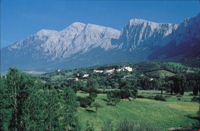 Valle di Guthiddai - Olianese - Olianese - Pubblico dominio