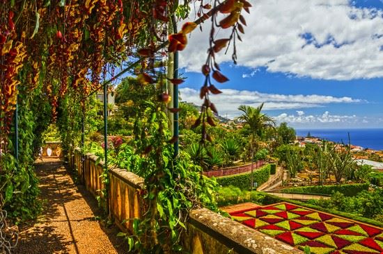 giardini botanici Madeira Valentina Photo - Shutterstock Valentina Photo