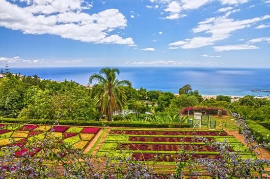giardini botanici Madeira Valentina Photo - Shutterstock Valentina Photo