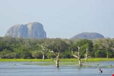 Elephant Rock