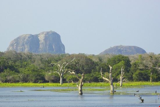 Elephant Rock Arugam Bay EMJAY SMITH - Shutterstock EMJAY SMITH