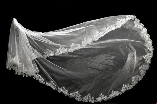 Museo del tulle - Producer - Producer - Shutterstock