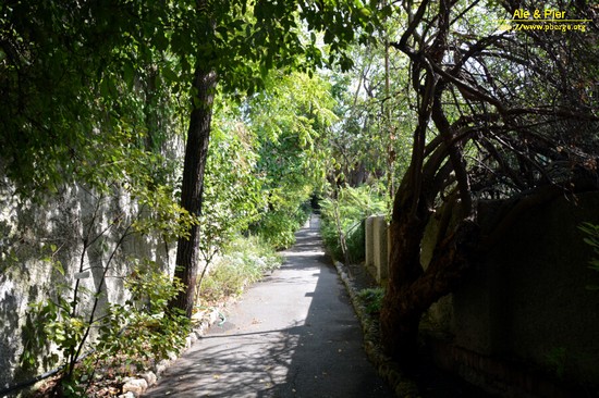 Orto botanico Hanbury dell'Università di Genova