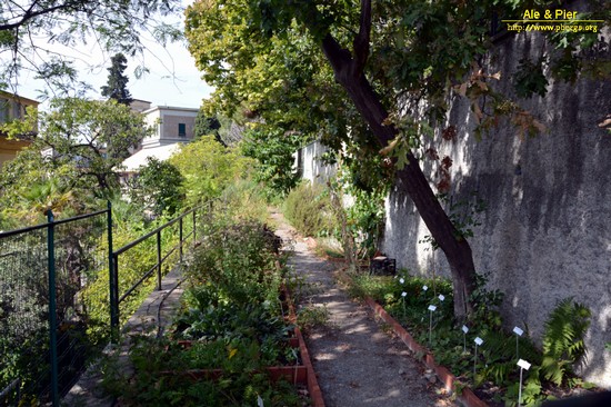 Orto botanico Hanbury dell'Università di Genova