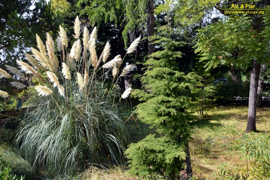 Orto botanico Hanbury dell'Università di Genova