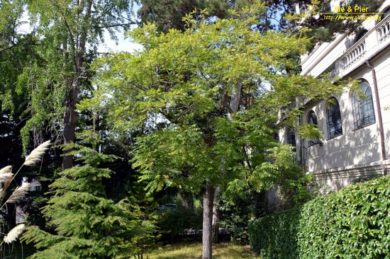 Orto botanico Hanbury dell'Università di Genova