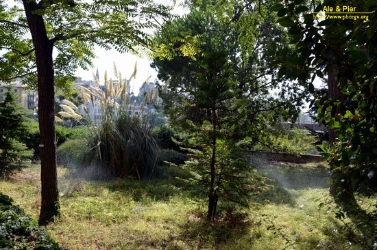 Orto botanico Hanbury dell'Università di Genova