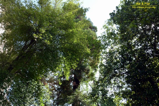 Orto botanico Hanbury dell'Università di Genova