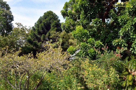 Orto botanico Hanbury dell'Università di Genova