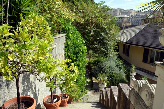 Orto botanico Hanbury dell'Università di Genova