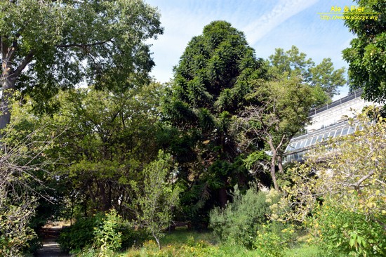 Orto botanico Hanbury dell'Università di Genova