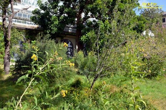 Orto botanico Hanbury dell'Università di Genova