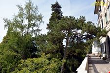 Orto botanico Hanbury dell'Università di Genova