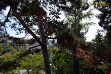 Orto botanico Hanbury dell'Università di Genova