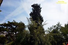 Orto botanico Hanbury dell'Università di Genova