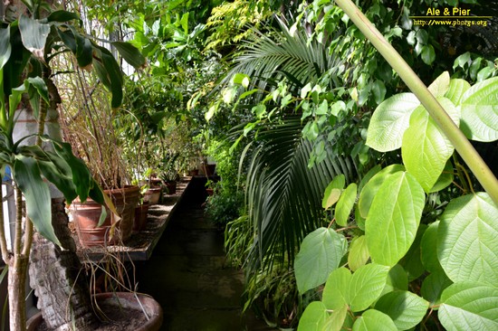 Orto botanico Hanbury dell'Università di Genova