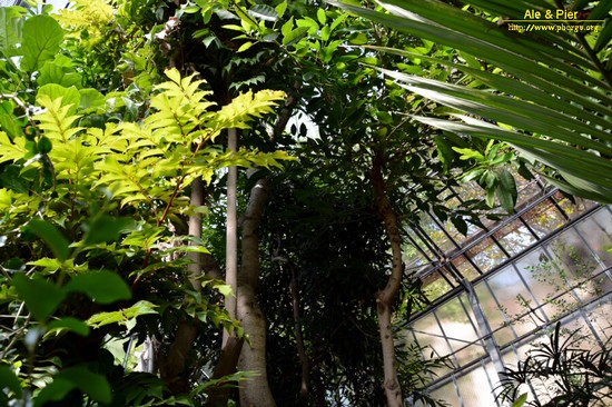 Orto botanico Hanbury dell'Università di Genova