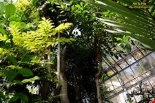 Orto botanico Hanbury dell'Università di Genova
