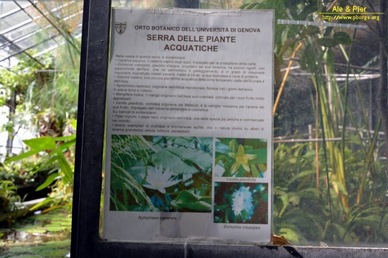Orto botanico Hanbury dell'Università di Genova