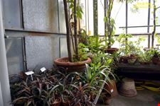 Orto botanico Hanbury dell'Università di Genova
