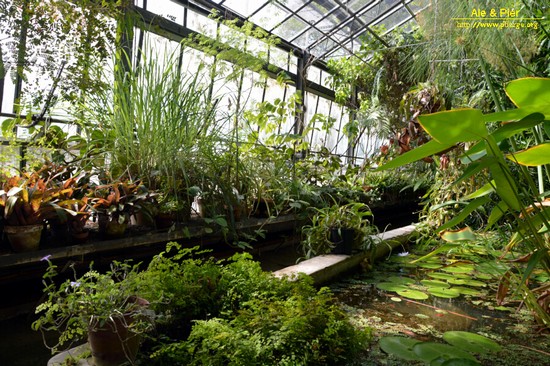 Orto botanico Hanbury dell'Università di Genova