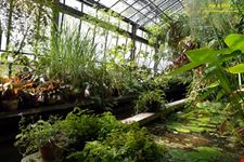 Orto botanico Hanbury dell'Università di Genova