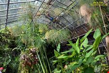 Orto botanico Hanbury dell'Università di Genova