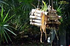 Orto botanico Hanbury dell'Università di Genova