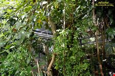 Orto botanico Hanbury dell'Università di Genova
