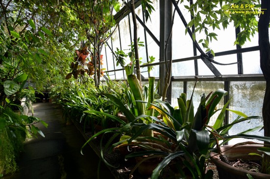Orto botanico Hanbury dell'Università di Genova