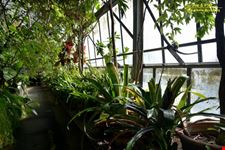 Orto botanico Hanbury dell'Università di Genova