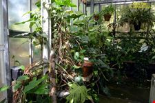Orto botanico Hanbury dell'Università di Genova